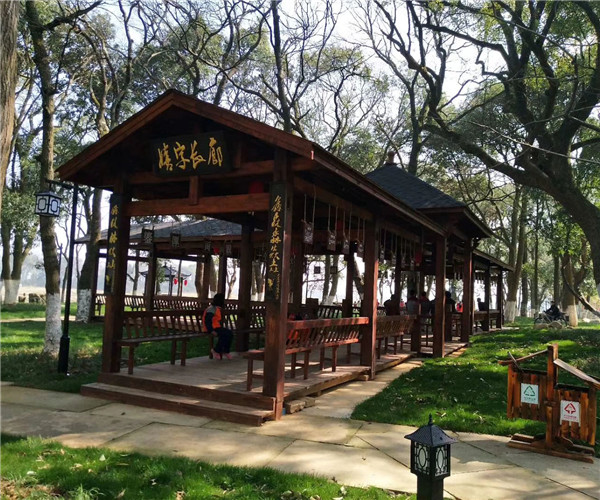 新農(nóng)村