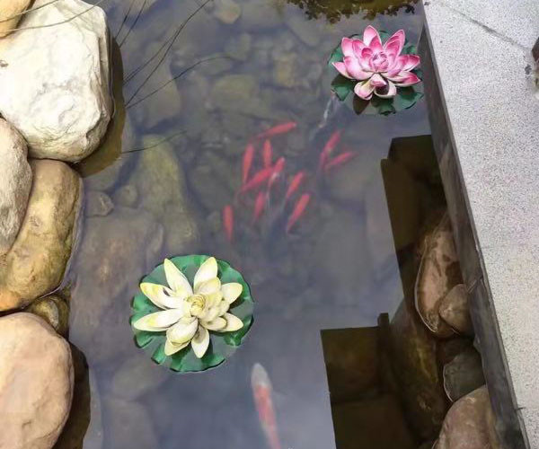 經(jīng)典案例