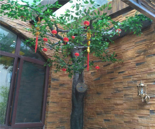 經(jīng)典案例